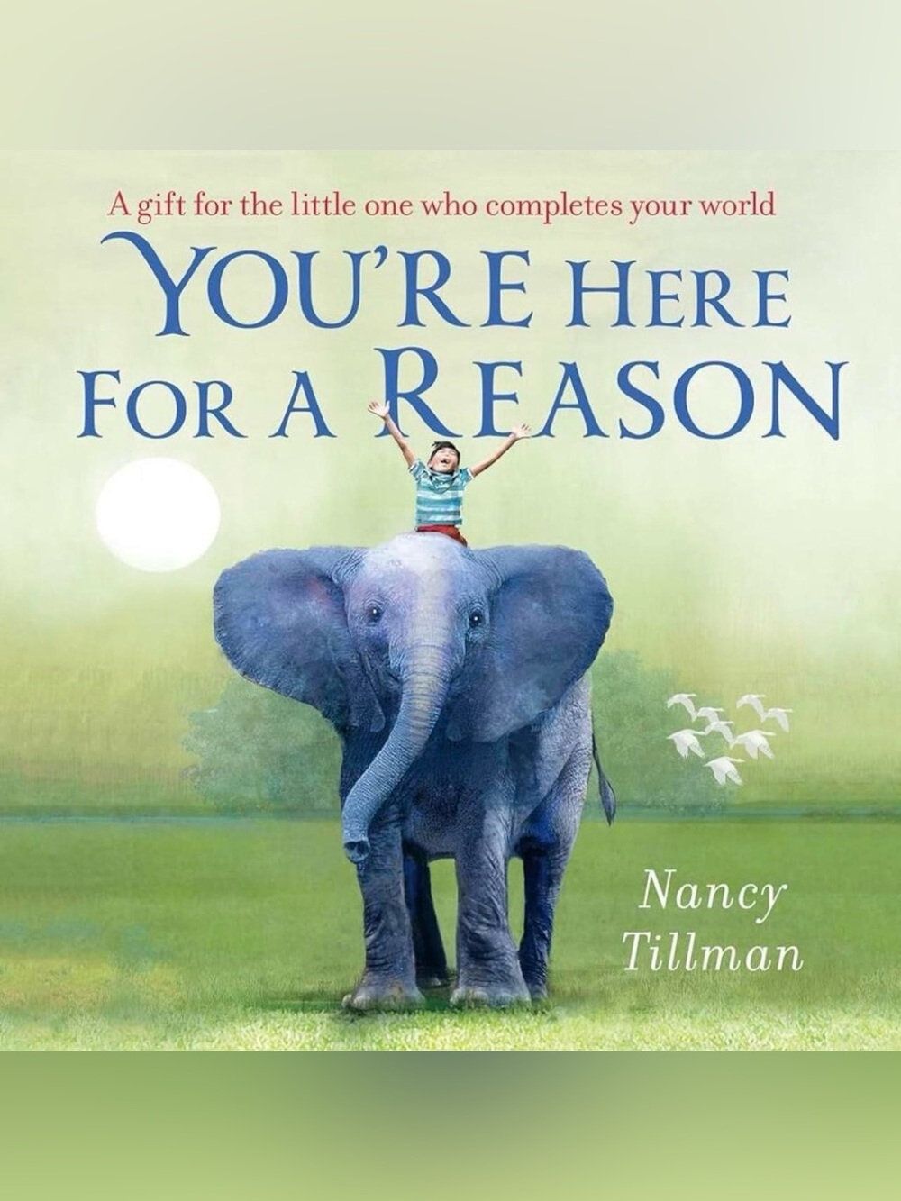 You're Here for a Reason MME Board Children's Book by Nancy Tillman